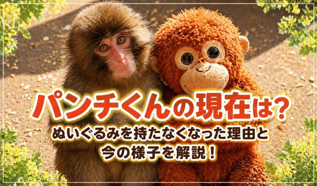 タイトル パンチくんの現在は？ぬいぐるみを持たなくなった理由と今の様子を解説！ イメージアイキャッチ画像